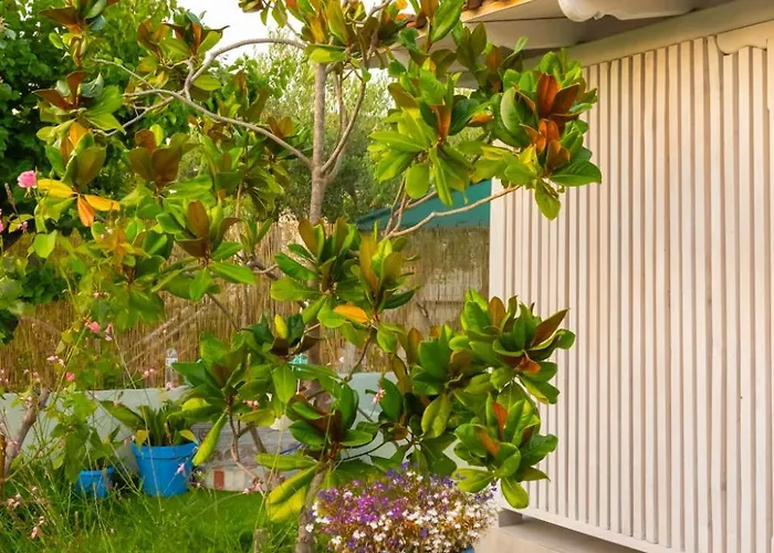 Island House * Psakoudia