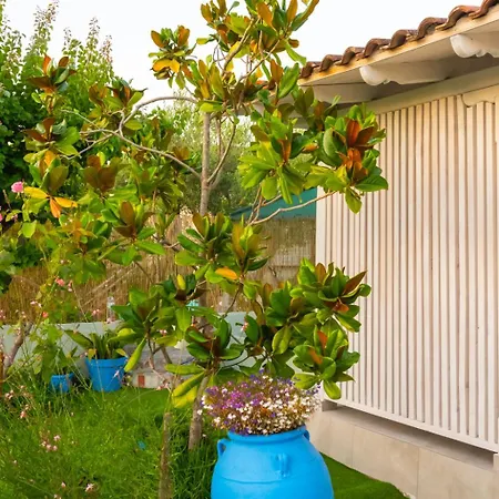 Island House * بساكوذيا