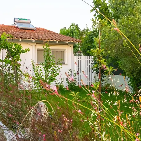 Island House فيلة *